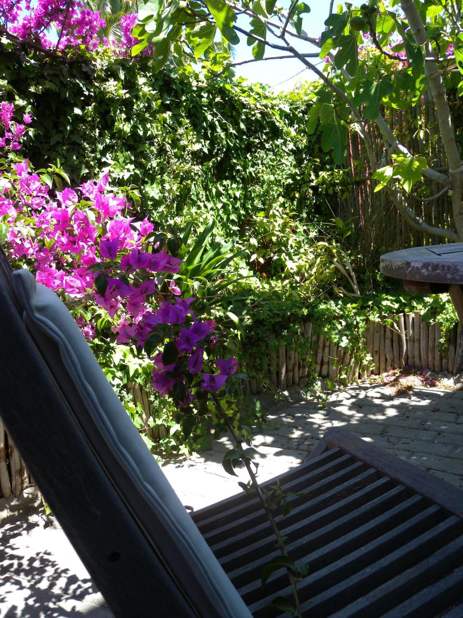 Capetown 4U Guesthouse Bloubergstrand Ngoại thất bức ảnh
